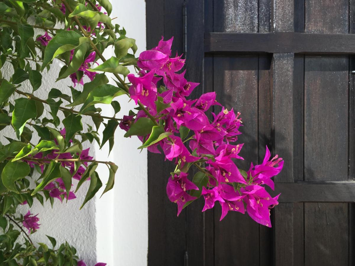 Villa De La Luz Luxury Guesthouse เอลปอร์ติล ภายนอก รูปภาพ